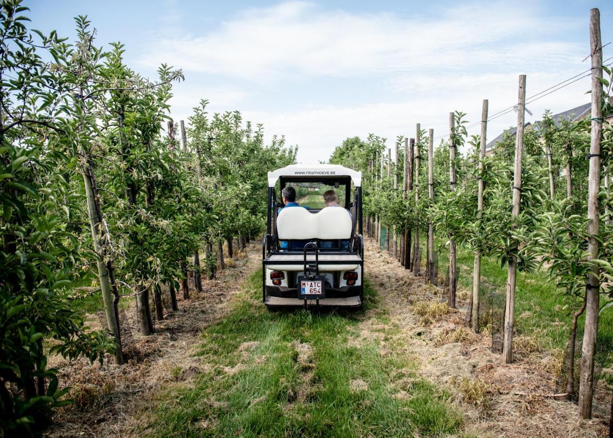 B&B De Fruithoeve Hoeselt Luaran gambar